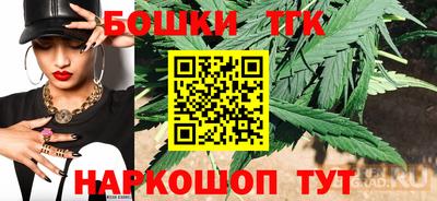 крисы Лесосибирск