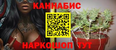 крисы Лесосибирск