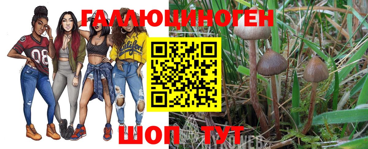 Галлюциногенные грибы MAGIC MUSHROOMS Аксай