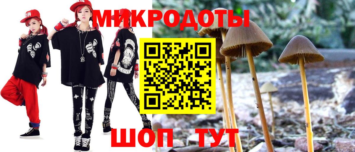 Аксай  хочу   Вход с VPN  Псилоцибиновые грибы Psilocybe 